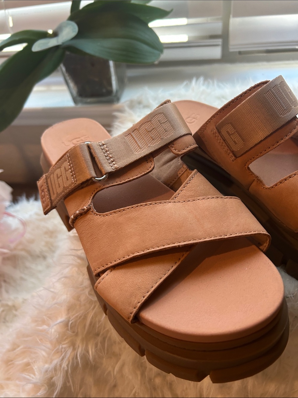 Uggs